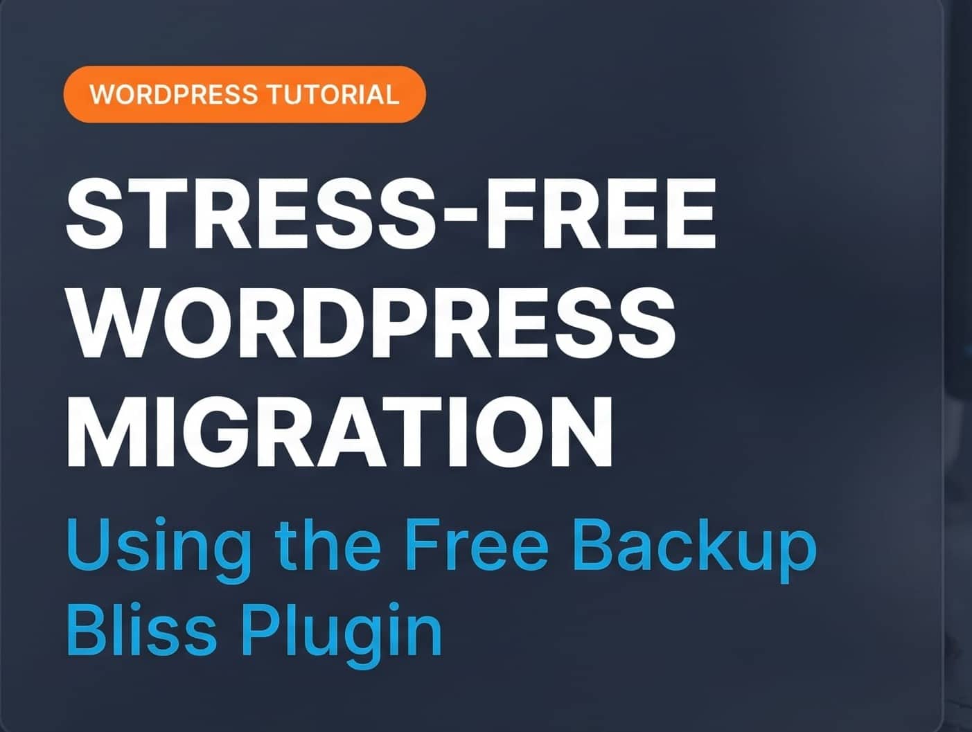 Stress-Free WordPress Migration with Amr The Internet Guy